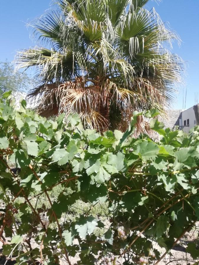 Holiday home Casa Huerta Vista Flores